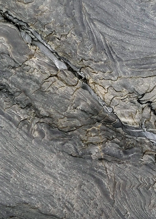 FUSION PLATINUM QUARTZITE SLAB